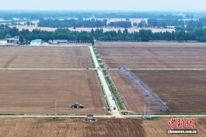 深入分析赛事动态，洞察球队战术变化。 - 世界杯外围